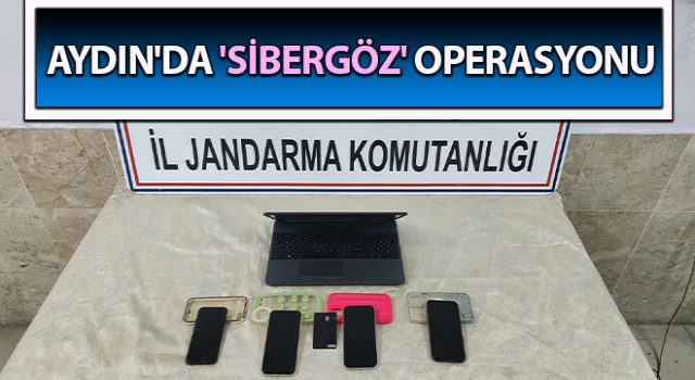 Aydın'da 'Sibergöz' operasyonu