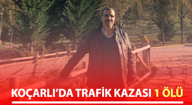 Aydın’da trafik kazası