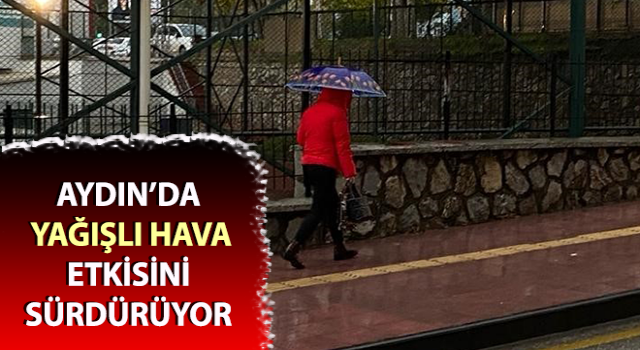 Aydın’da yağışlı hava etkili oluyor