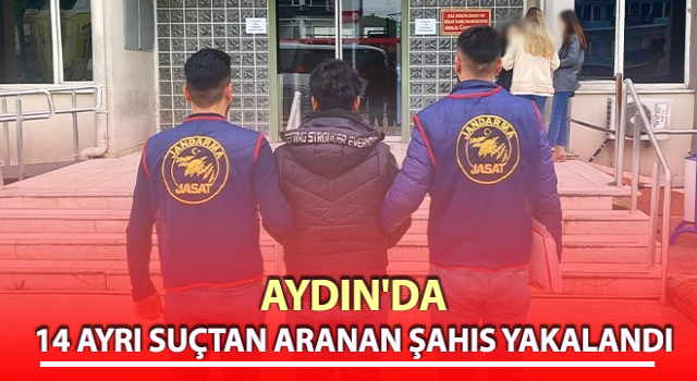 Azılı suçlu jandarmadan kaçamadı