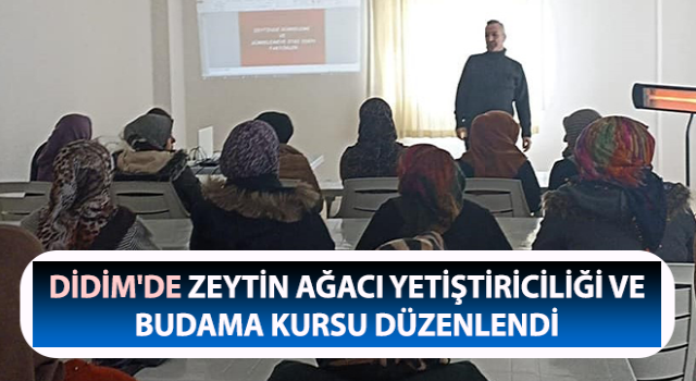 Didim'de Zeytin Ağacı Yetiştiriciliği ve Budama Kursu başladı