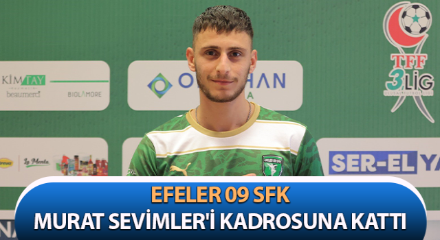 Efeler, ara transferde hız kesmiyor