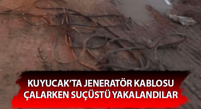 Jeneratör kablosu çalarken suçüstü yakalandılar