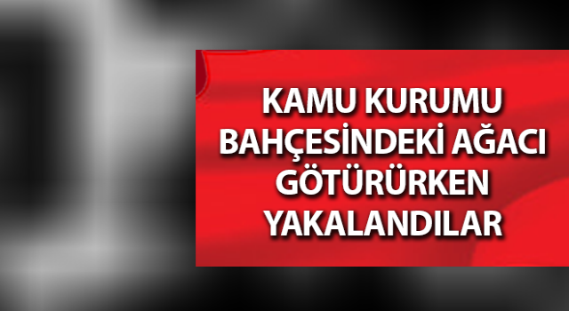 Nazilli’de hırsızlık şüphelileri yakalandı