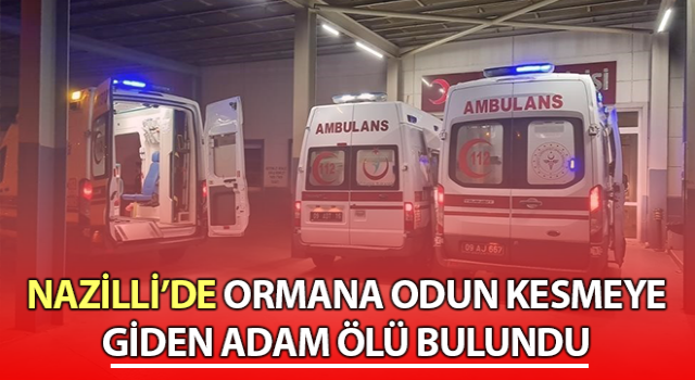 Ormana odun kesmeye gitti, ölü olarak bulundu