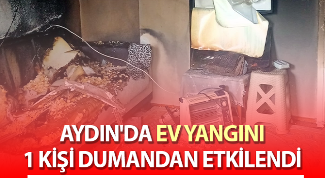 Aydın'da ev yangını panikletti