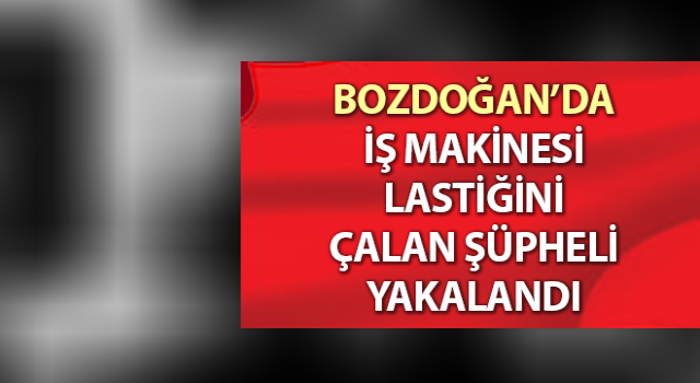 Bozdoğan’da lastik hırsızı yakalandı