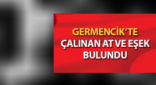 Çalınan at ve eşeği jandarma buldu