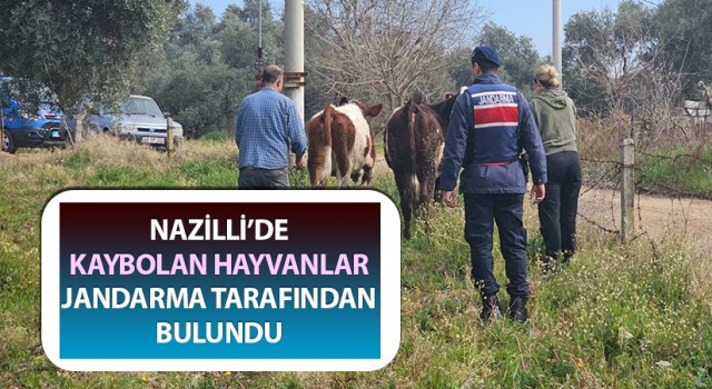 Kayıp hayvanları jandarma buldu