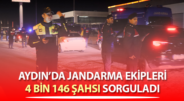 Jandarma ekipleri 4 bin 146 şahsı sorguladı