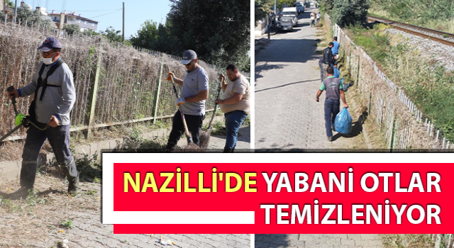 Nazilli'de yabani otları temizlik çalışmaları sürüyor