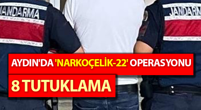 Aydın'da 'Narkoçelik-22' operasyonu