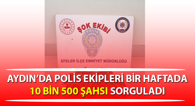 Aydın’da polis ekipleri 10 bin 500 şahsı sorguladı