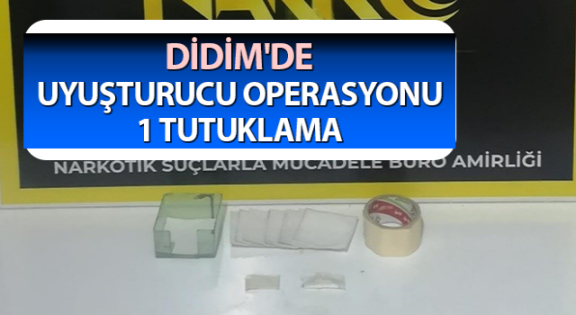 Aydın’da uyuşturucu operasyonu