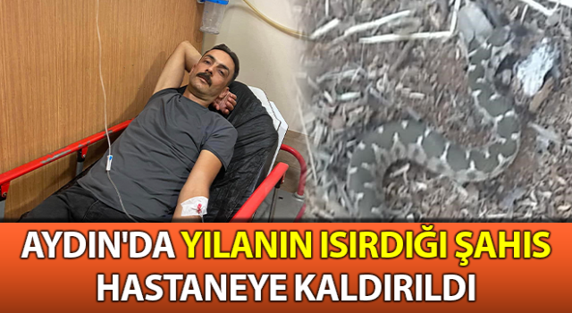 Aydın'da yılanın ısırdığı şahıs hastaneye kaldırıldı