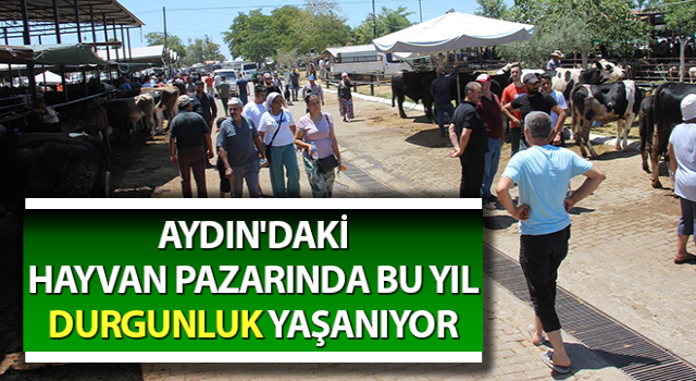 Aydın'daki hayvan pazarında bu yıl durgunluk yaşanıyor