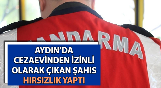 Cezaevinden izinli olarak çıkıp hırsızlık yaptı