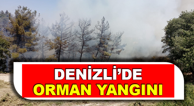 Denizli’de orman yangınına müdahale ediliyor