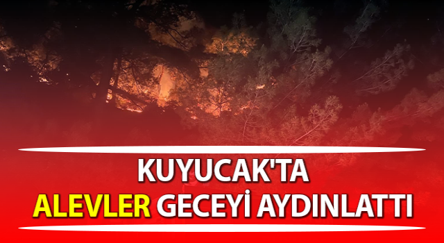 Ormanlık alanda çıkan yangın geceyi aydınlattı