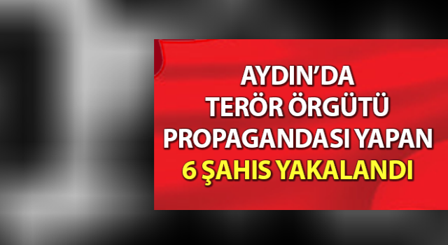 Terör örgütü propagandası yapan 6 şahıs yakalandı