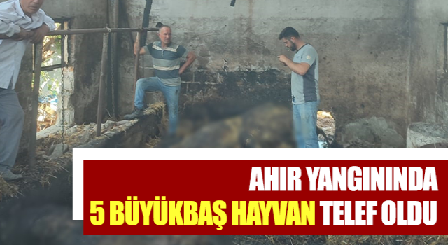 Ahır yangınında 5 büyükbaş hayvan telef oldu