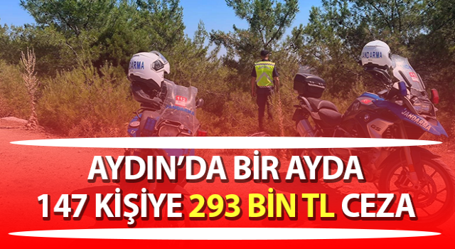 Aydın’da 147 kişiye 293 bin TL ceza