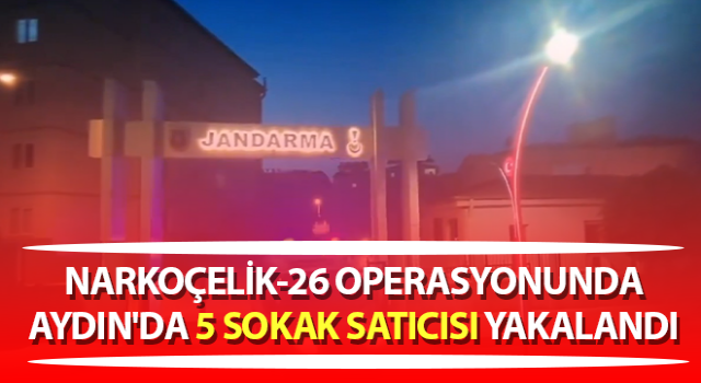 Aydın'da 5 sokak satıcısı yakalandı