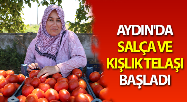 Aydın'da salça ve kışlık telaşı başladı