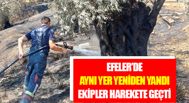 Aynı yer yeniden yandı ekipler harekete geçti