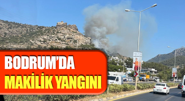 Bodrum’da makilik yangını