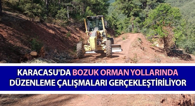 Bozuk orman yollarında düzenleme çalışmaları gerçekleştiriliyor