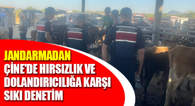 Çine'de hırsızlık ve dolandırıcılığa karşı sıkı denetim