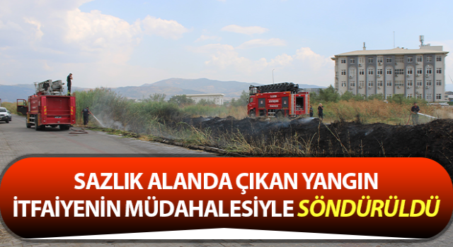 Efeler’de sazlık alanda çıkan yangın söndürüldü