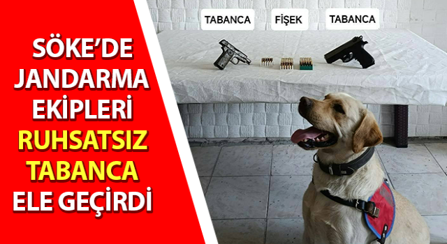 Jandarma ekipleri ruhsatsız tabanca ele geçirdi