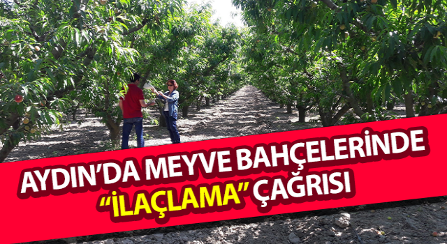 Meyve bahçelerinde “ilaçlama” çağrısı