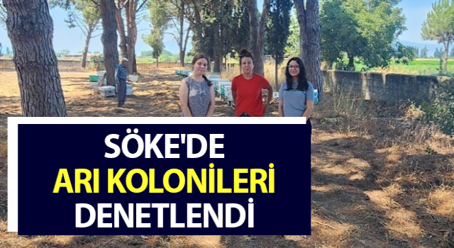 Söke'de arı kolonileri denetlendi