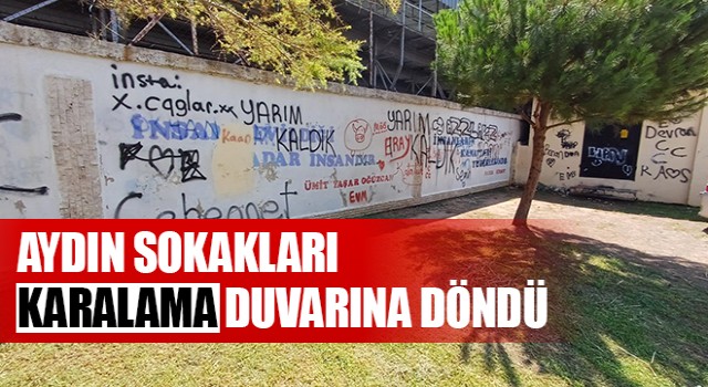 Aydın sokakları karalama duvarına döndü