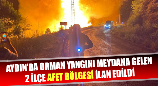 Aydın'da 2 ilçe afet bölgesi ilan edildi