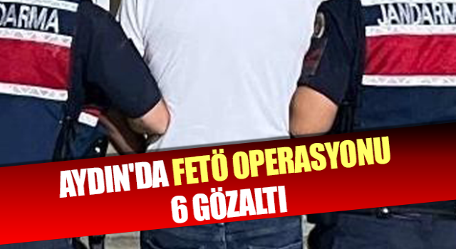 Aydın'da FETÖ operasyonu: 6 gözaltı