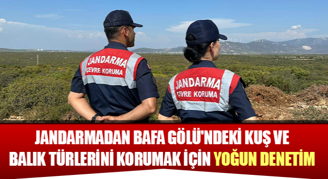 Aydın'da jandarma ekiplerinden yoğun denetim