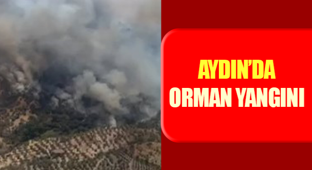 Aydın’da orman yangını