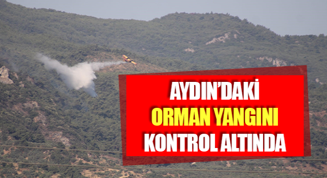 Aydın’daki orman yangını kontrol altında