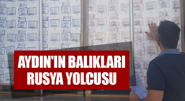 Aydın'ın balıkları Rusya yolcusu