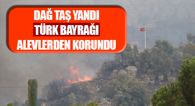 Dağ taş yandı, Türk bayrağı alevlerden korundu