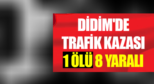 Didim'de trafik kazası: 1 ölü, 8 yaralı