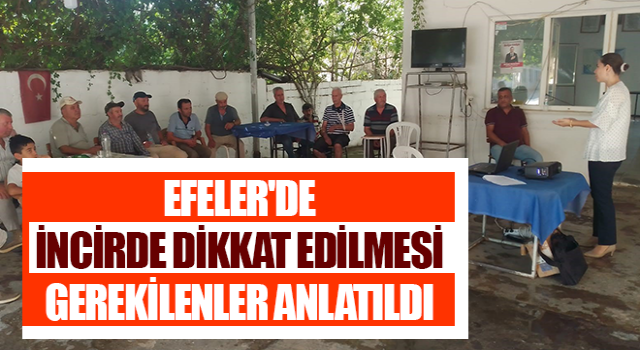 Efeler'de incirde dikkat edilmesi gerekilenler anlatıldı