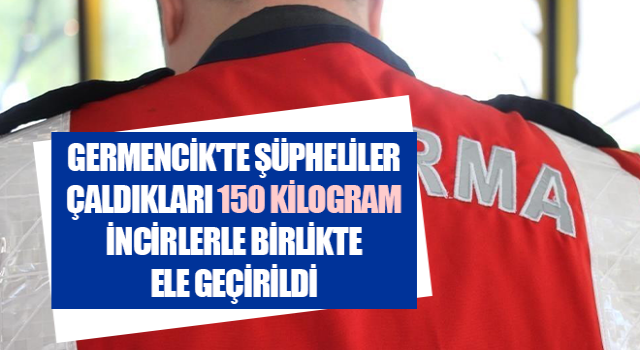 Germencik'te 150 kilogram incir çalan şahıslar yakalandı