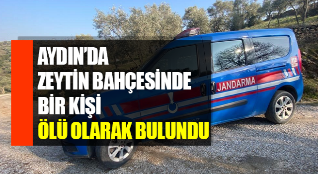 Gittiği bahçede ölü bulundu