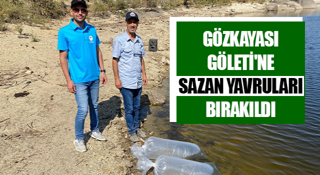 Gözkayası Göleti'ne sazan yavruları bırakıldı