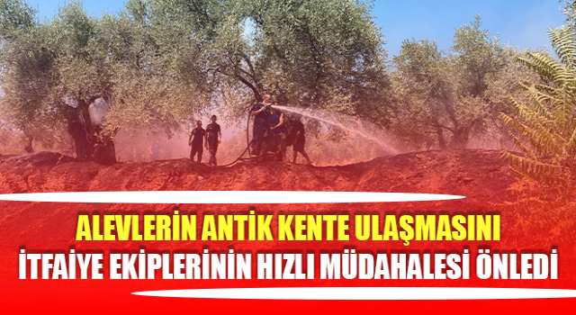 İtfaiyenin hızlı müdahalesi alevlerin büyümesini önledi